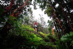 BIB: 
                            <button type="button" onclick="openModal(26201052)" class="btn btn-primary btn-sm float-right btn-popup" data-toggle="modal" data-target=".modal-high-quality">
                        <i class="fas fa-shopping-cart"></i> Add to Cart
                    </button>
                                            <button type="button" onclick="isThisMe(26201052, true)" class="btn btn-success btn-sm float-right btn-popup btn-isme hidden" data-toggle="tooltip" data-placement="bottom" title="นี่คือรูปของคุณใช่ไหม คลิกที่นี่เพื่อเอาเข้าอัลบั้ม">
                        <i class="fas fa-plus"></i> Add to album
                    </button>
                    <button type="button" onclick="isThisMe(26201052, false)" class="btn btn-warning btn-sm float-right btn-popup btn-isnotme hidden">
                        <i class="fas fa-ban"></i> Remove from album
                    </button>